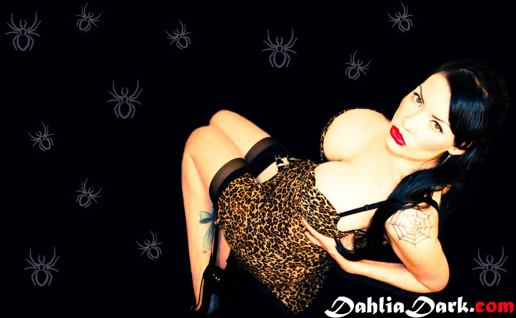 Dahlia Dark Spider Wallpaper